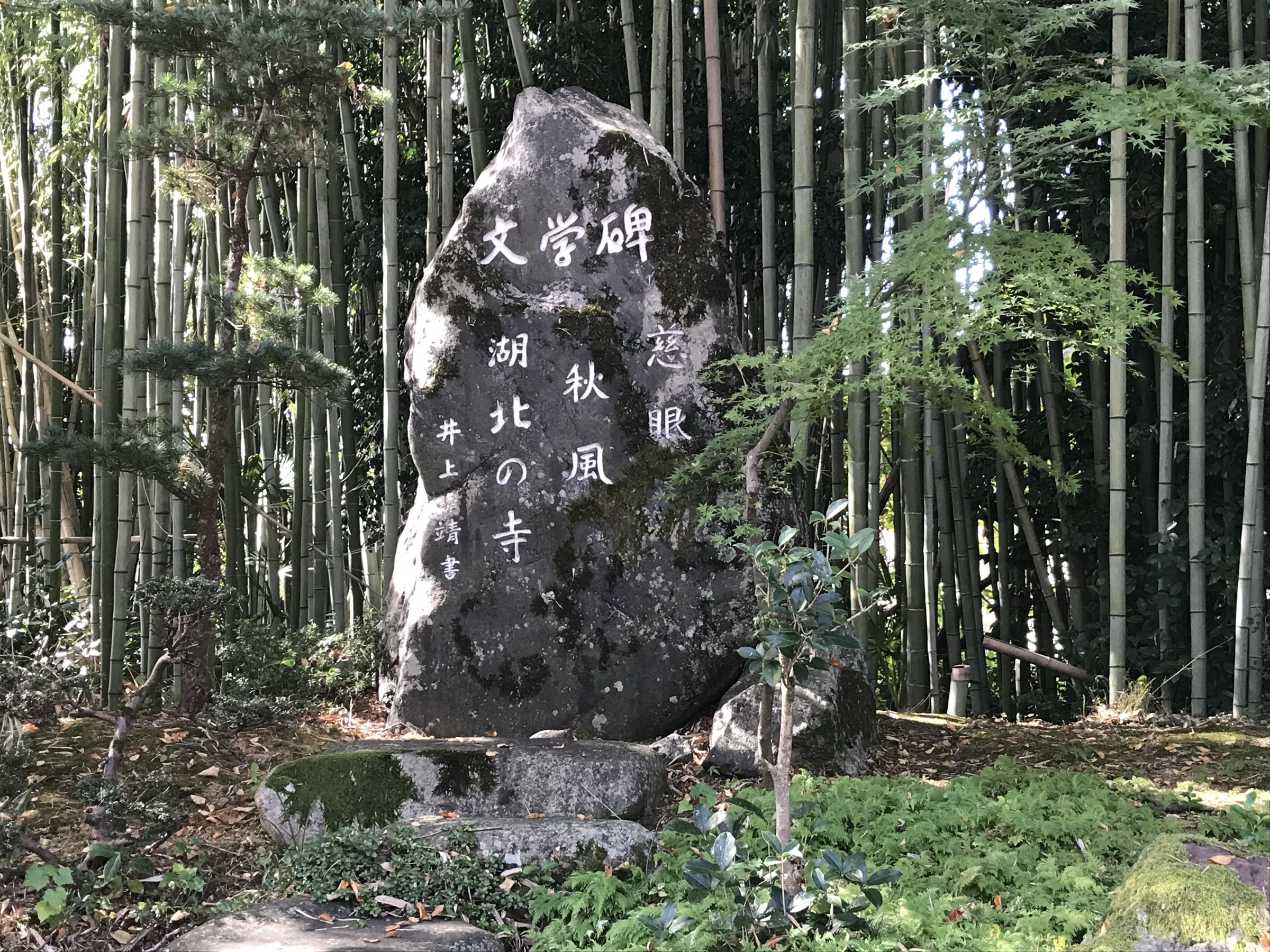 井上靖 文学碑（竹林の中）