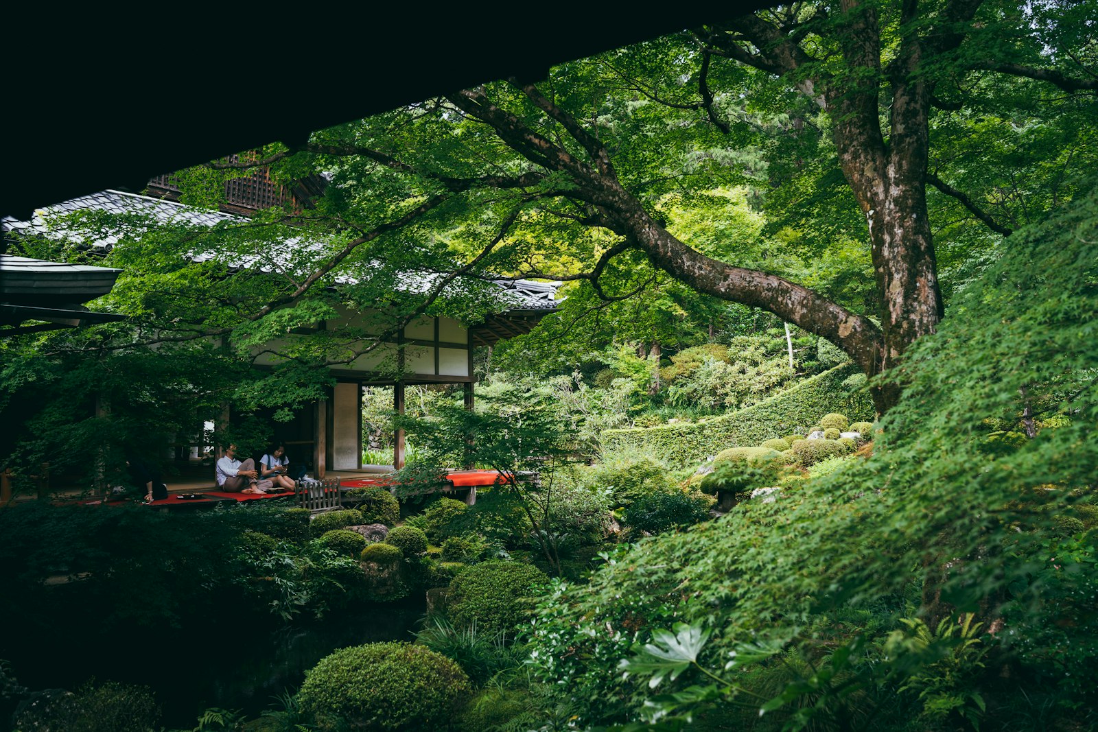 夏の庭園(試作用の代用画像)