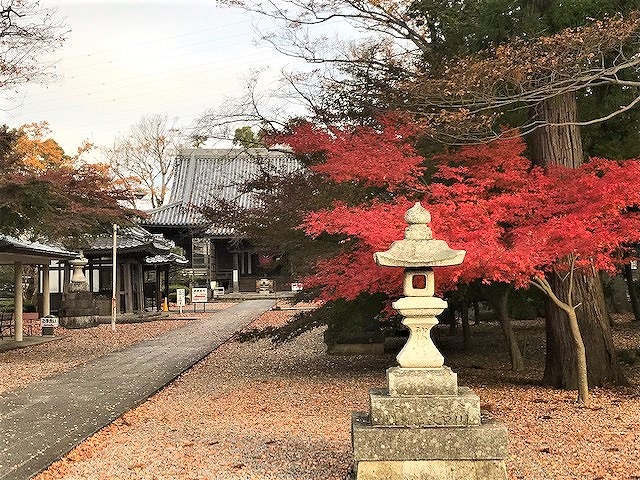 秋・紅葉の境内