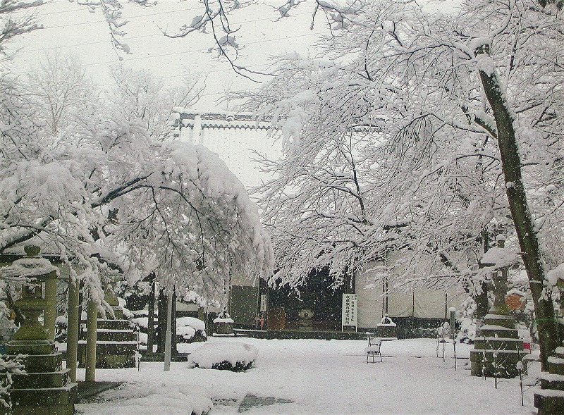 冬・雪の境内